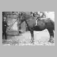 111-0036 Auf dem Hof von Steiniger & Radtke in Wehlau. Links Otto Radtke, auf dem Pferd Juergen Kriwath.jpg